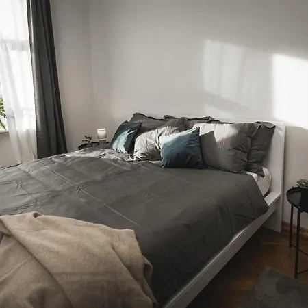 Appartamento Large 6-bedroom For Groups - Gertrudes Street Riga